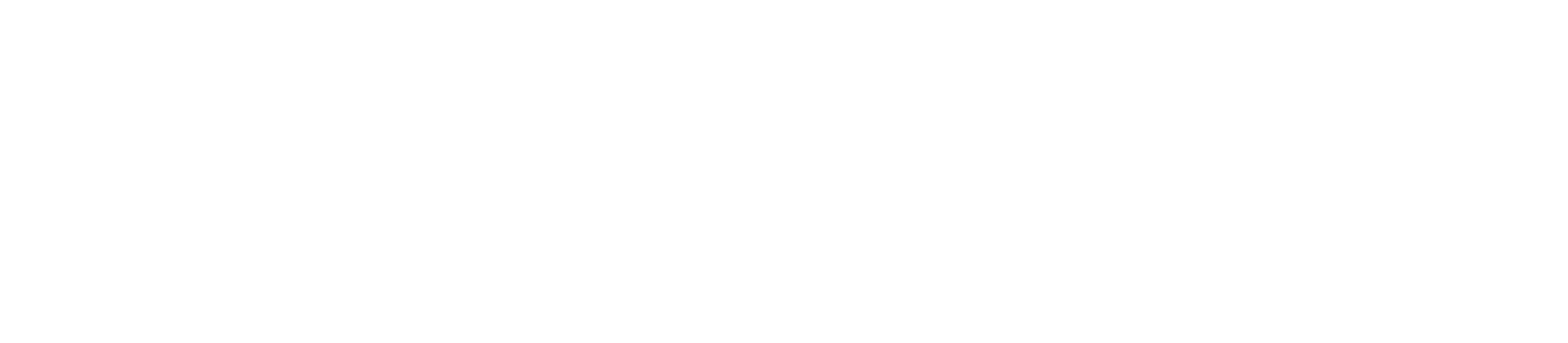 Developer Partners